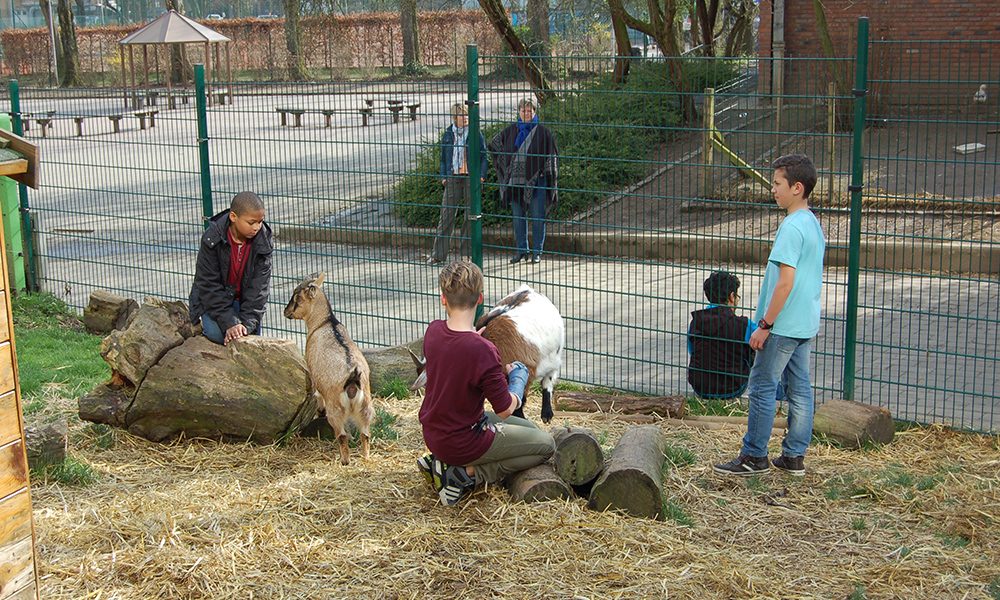 47-animaux-peuplier