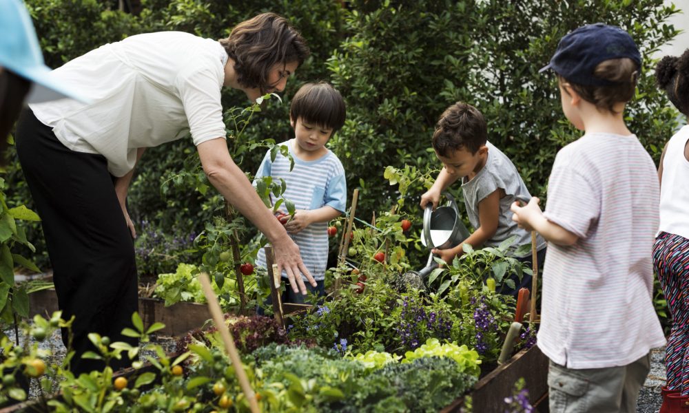 Teacher and kids school learning ecology gardening